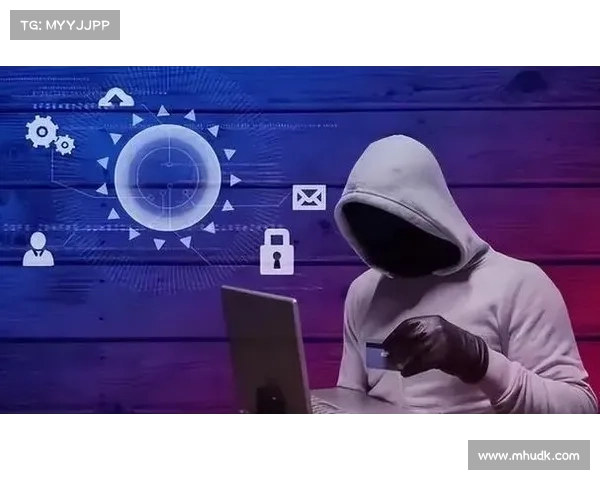 由青年黑客策划的重大网络安全漏洞 媒体